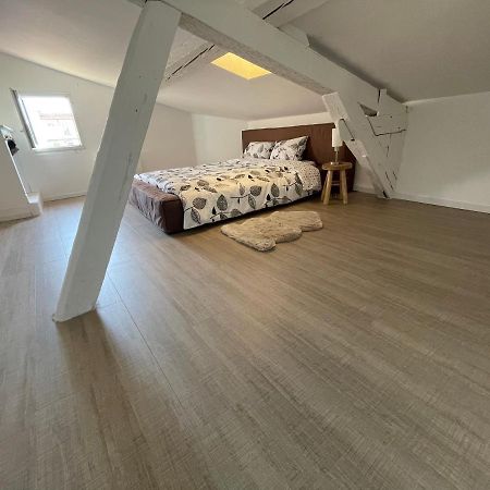 Апартаменты Duplex Quartier Saint-Sernin, Тулуза Экстерьер фото