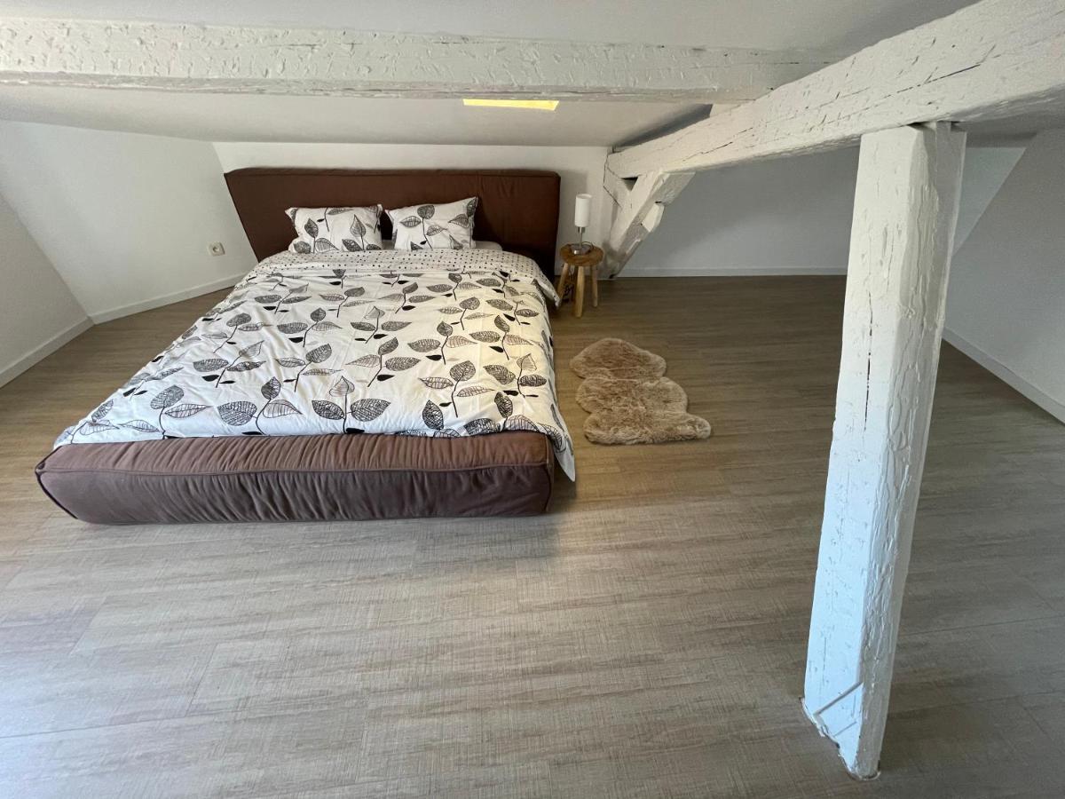 Апартаменты Duplex Quartier Saint-Sernin, Тулуза Экстерьер фото